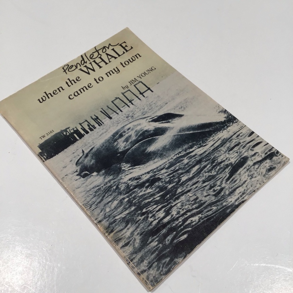 When the Whale Came to my Town by Jim Young 1974 VTG Paperback Book Scholastic